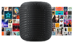 智能音箱销量“断崖式下跌”，这块鸡肋企业该啃该弃? - ��ý���鱨��վ