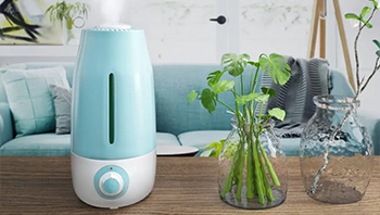 上海市监局公布加湿器抽检结果，有多少产品不合格？ - 润德福屋智家网