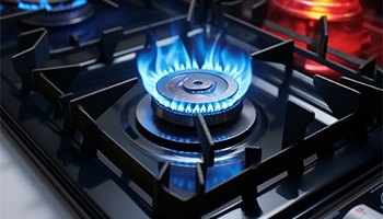 六安燃气产品抽检结果公布 不合格产品召回处理 - ��ý���鱨��վ