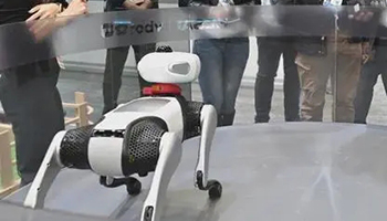 具身智能消费级机器人规模化爆发，四大核心力制胜 - ��ý���鱨��վ