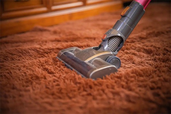 清洁家电企业面临关税冲击 三大厂商转型路径分化明显 - ��ý���鱨��վ